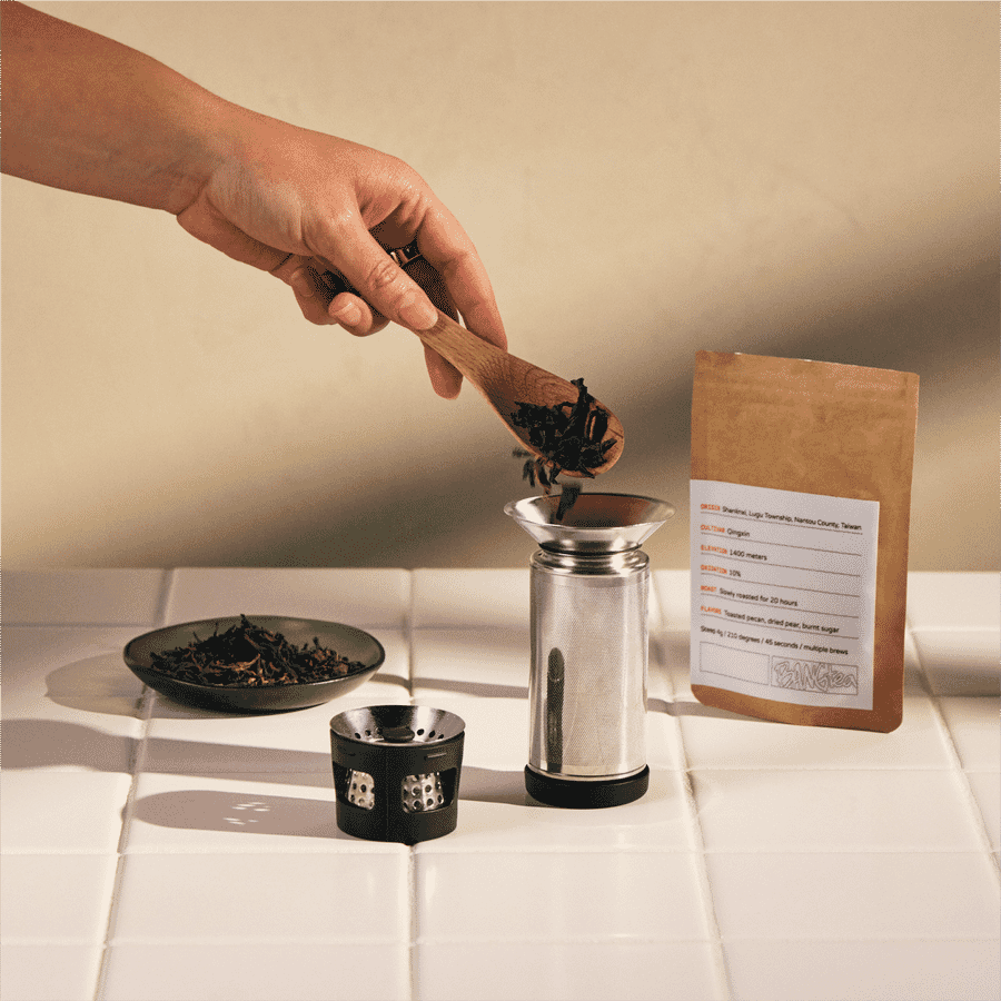 Fellow Carter Infuser Set brewing